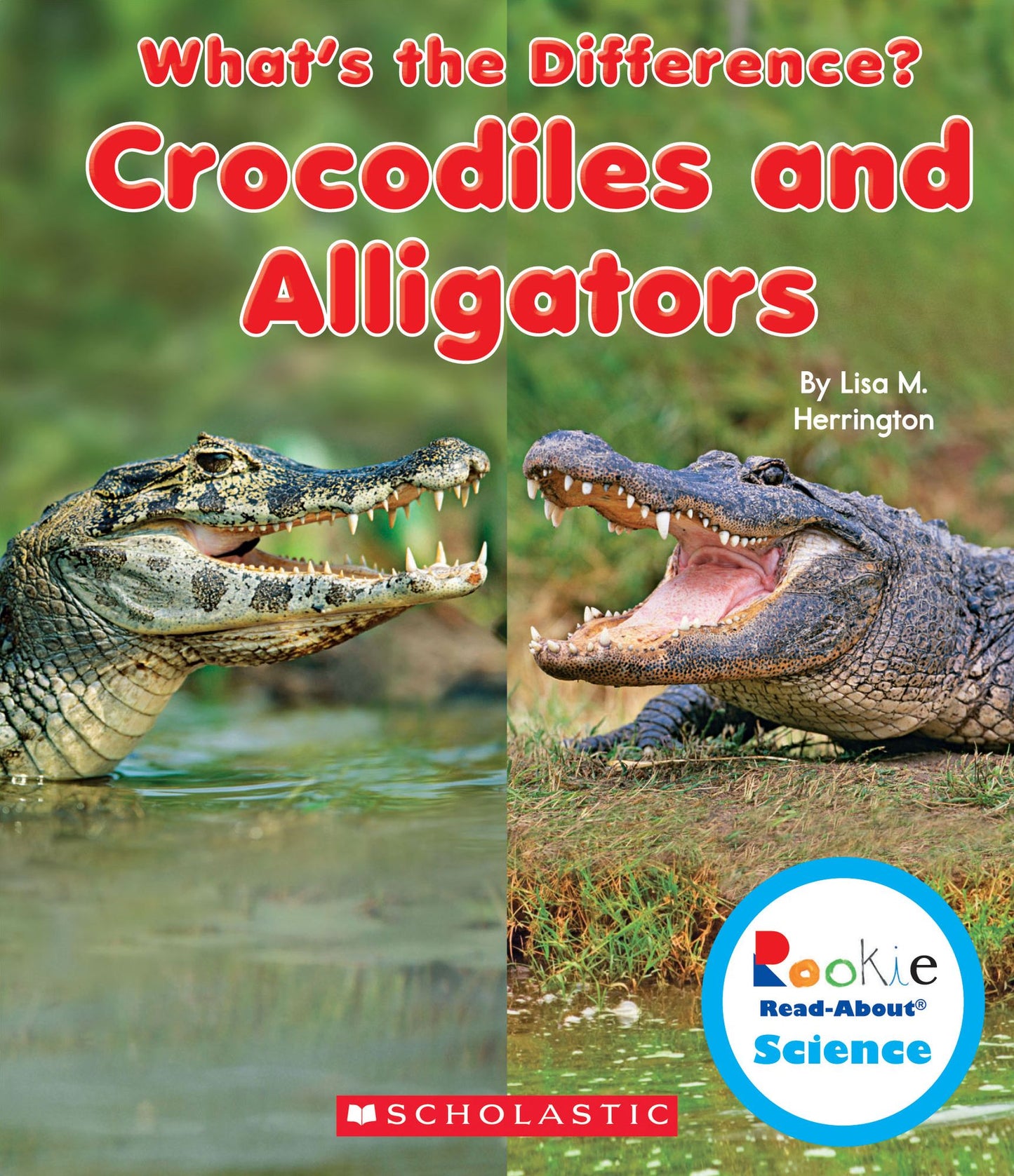 Crocodiles and Alligators
