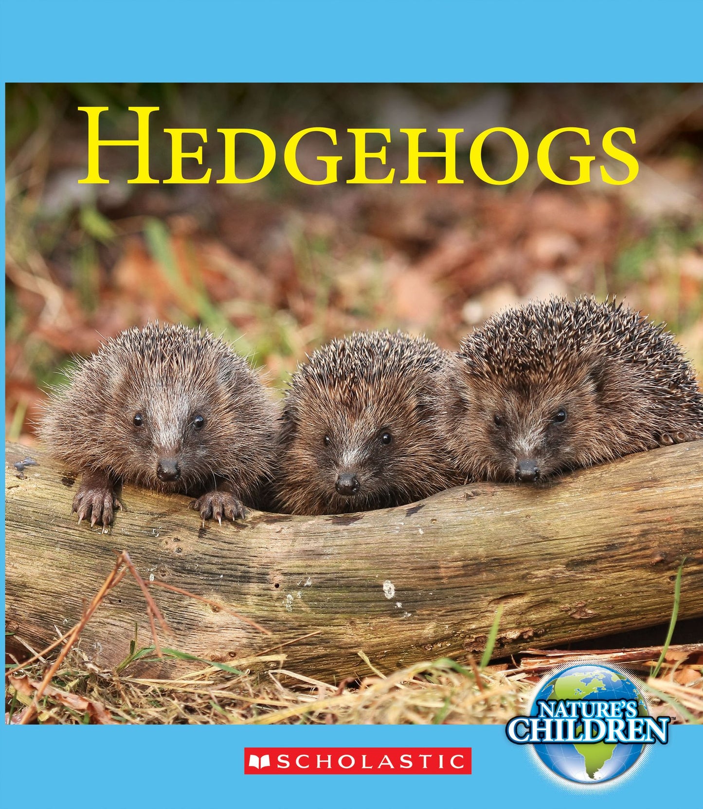 Hedgehogs