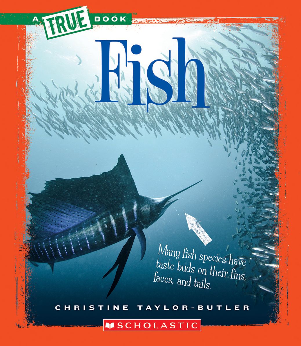 Fish