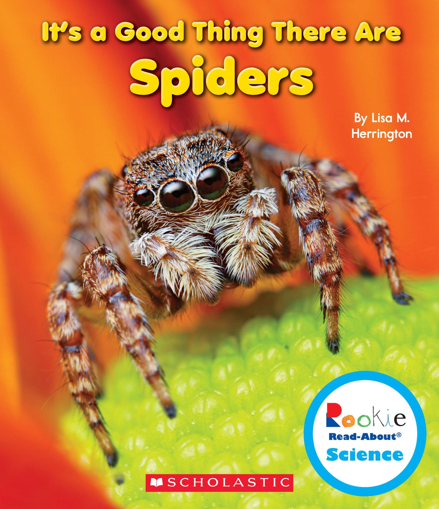 It's a Good Thing There Are Spiders