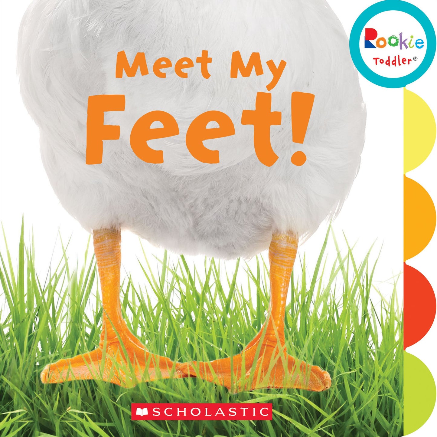 Meet My Feet