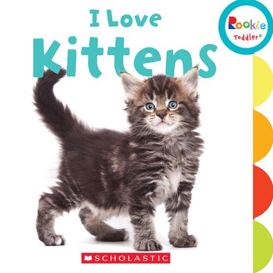 I Love Kittens