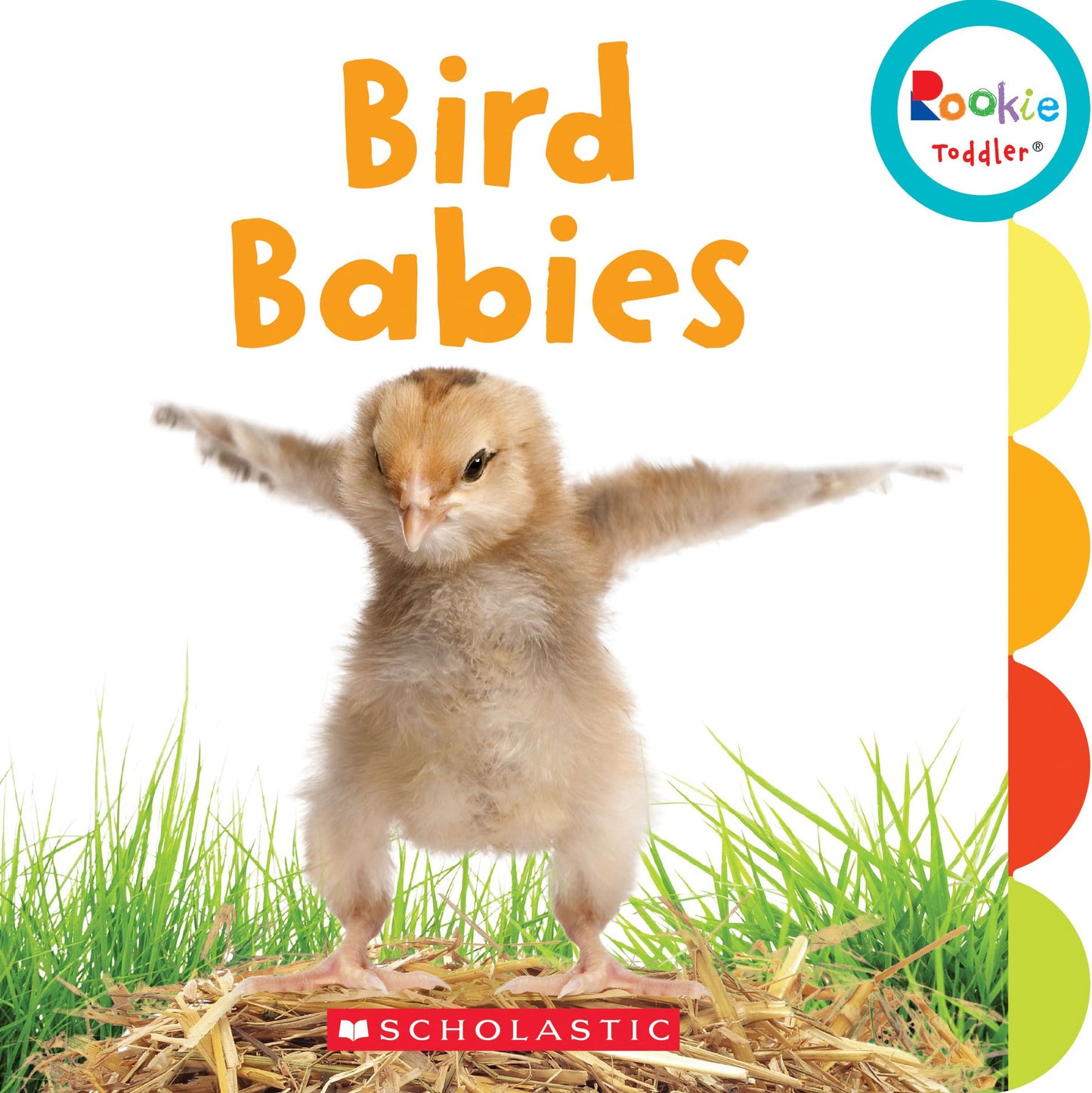 Bird Babies