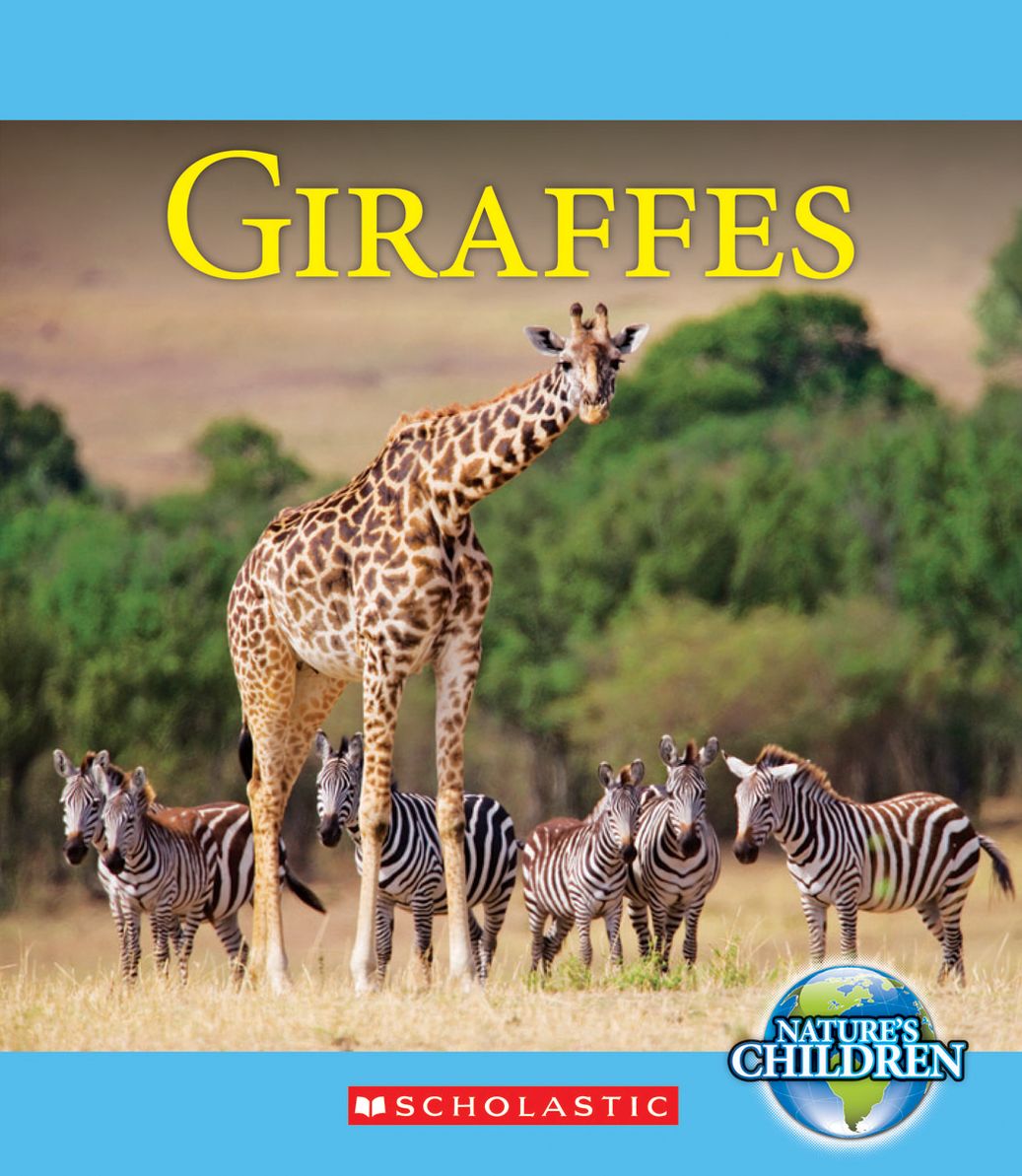 Giraffes
