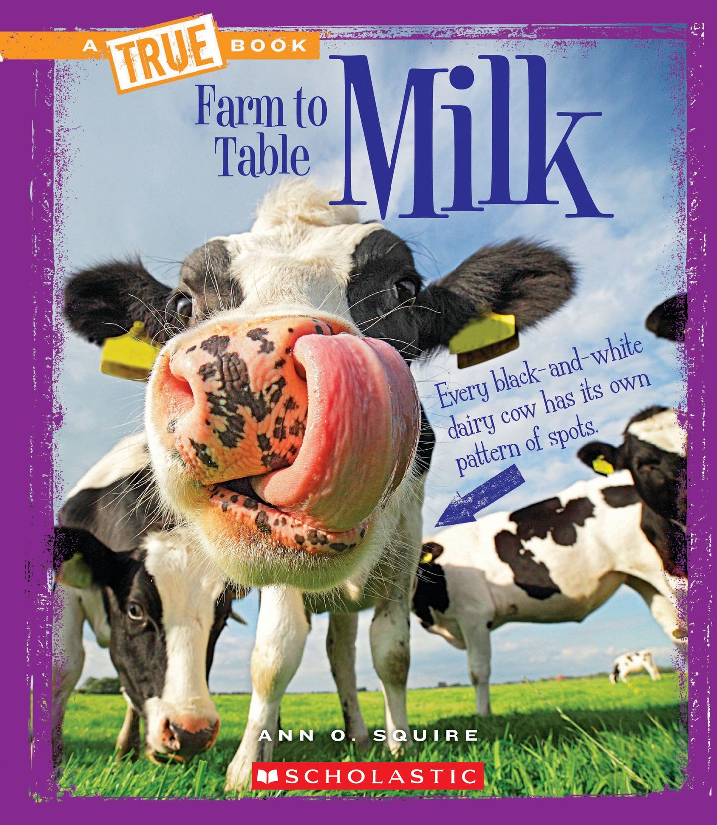 Milk (A True Book: Farm to Table)