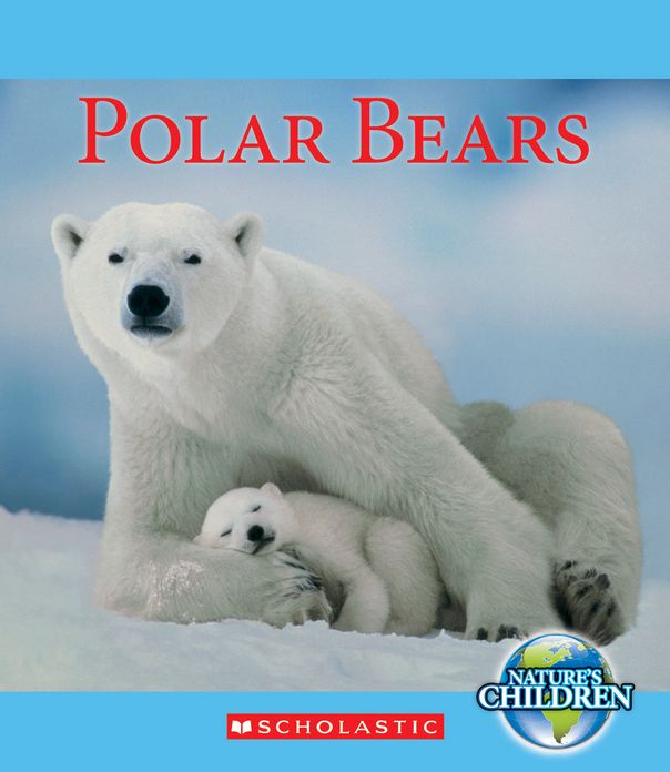 Polar Bears