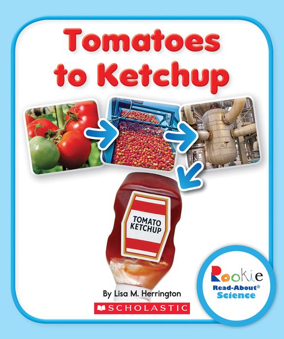 Tomatoes to Ketchup