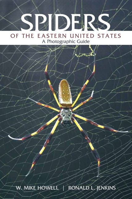 Spiders of the Eastern United States: A Photographic Guide