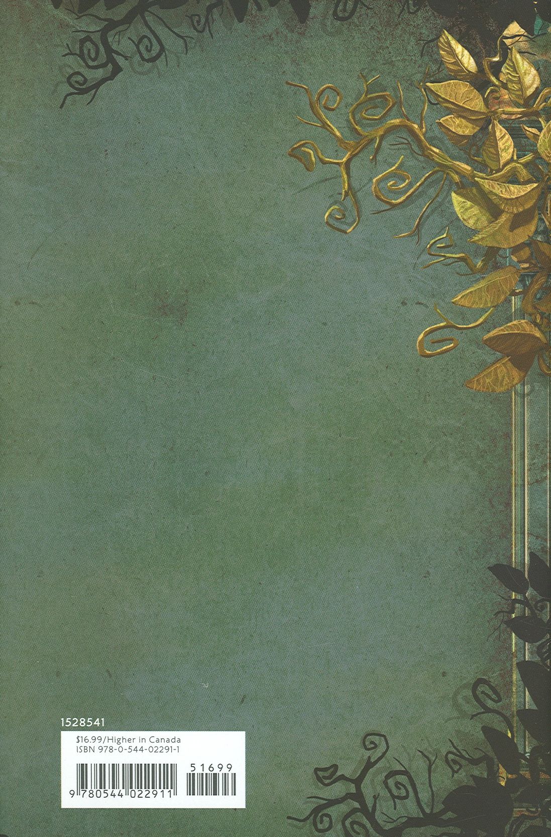 The Ghost in the Glass House
