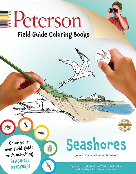 Seashores