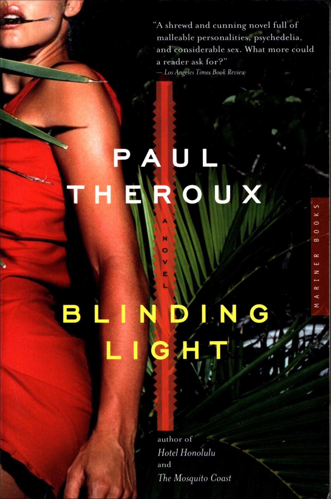 Blinding Light: A Novel
