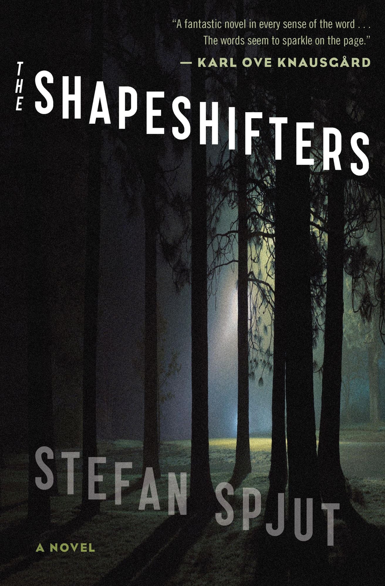 The Shapeshifters: A Novel