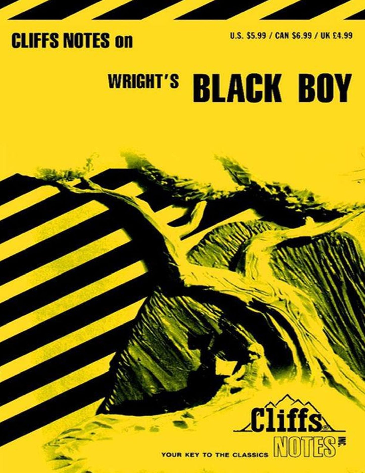 CliffsNotes on Wright's Black Boy
