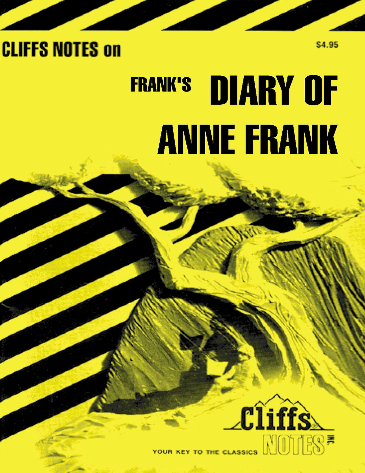 CliffsNotes on Frank's The Diary of Anne Frank