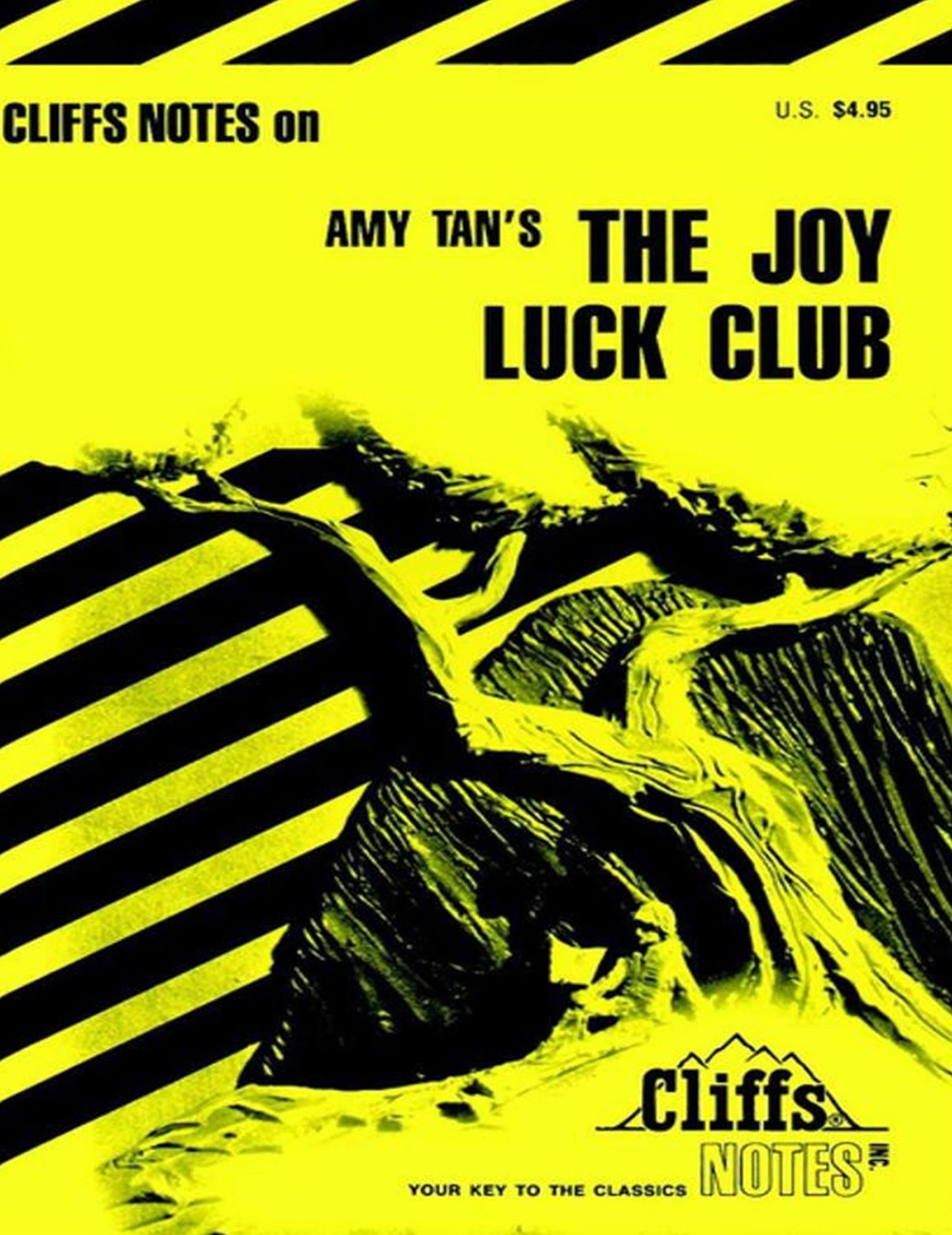 CliffsNotes on Tan's The Joy Luck Club