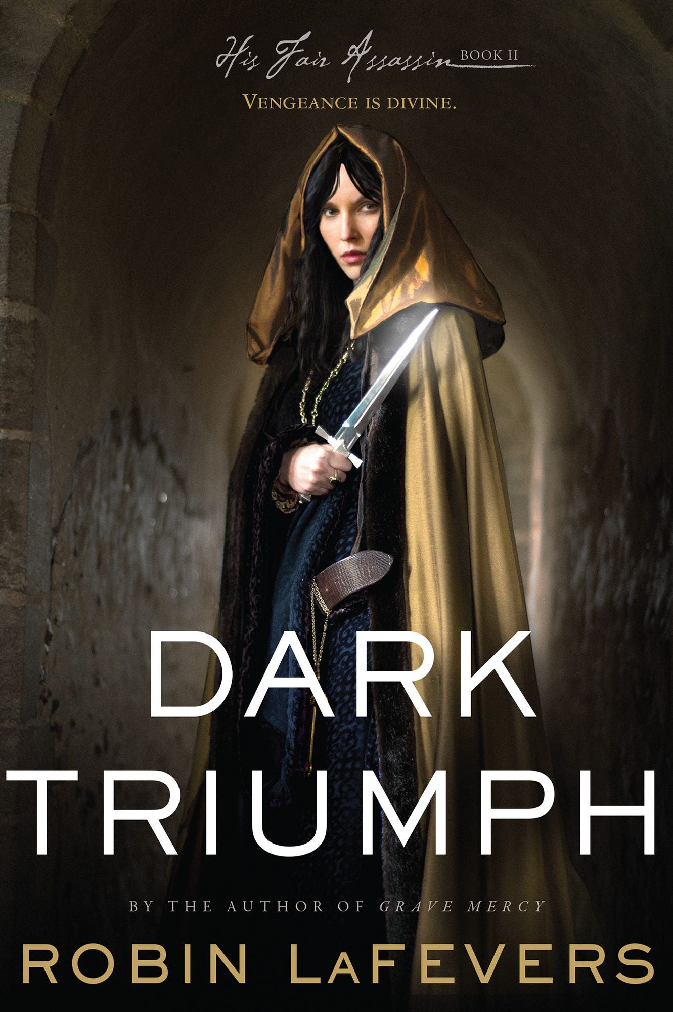 Dark Triumph (His Fair Assassin Series #2)