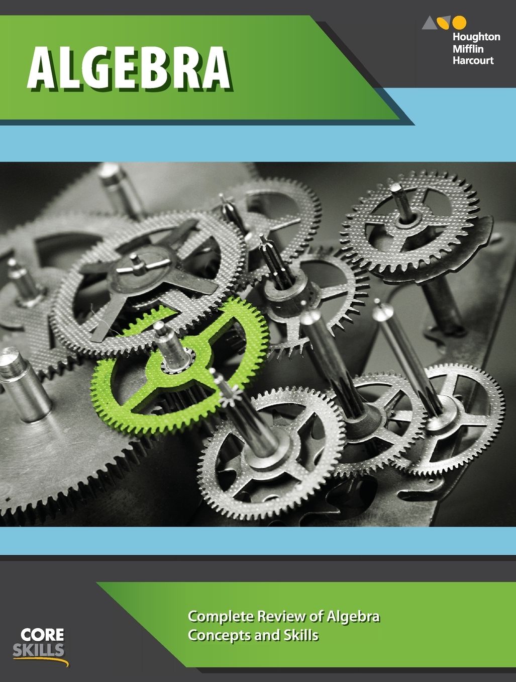 Steck-Vaughn Core Skills Algebra: Workbook Grades 8-10