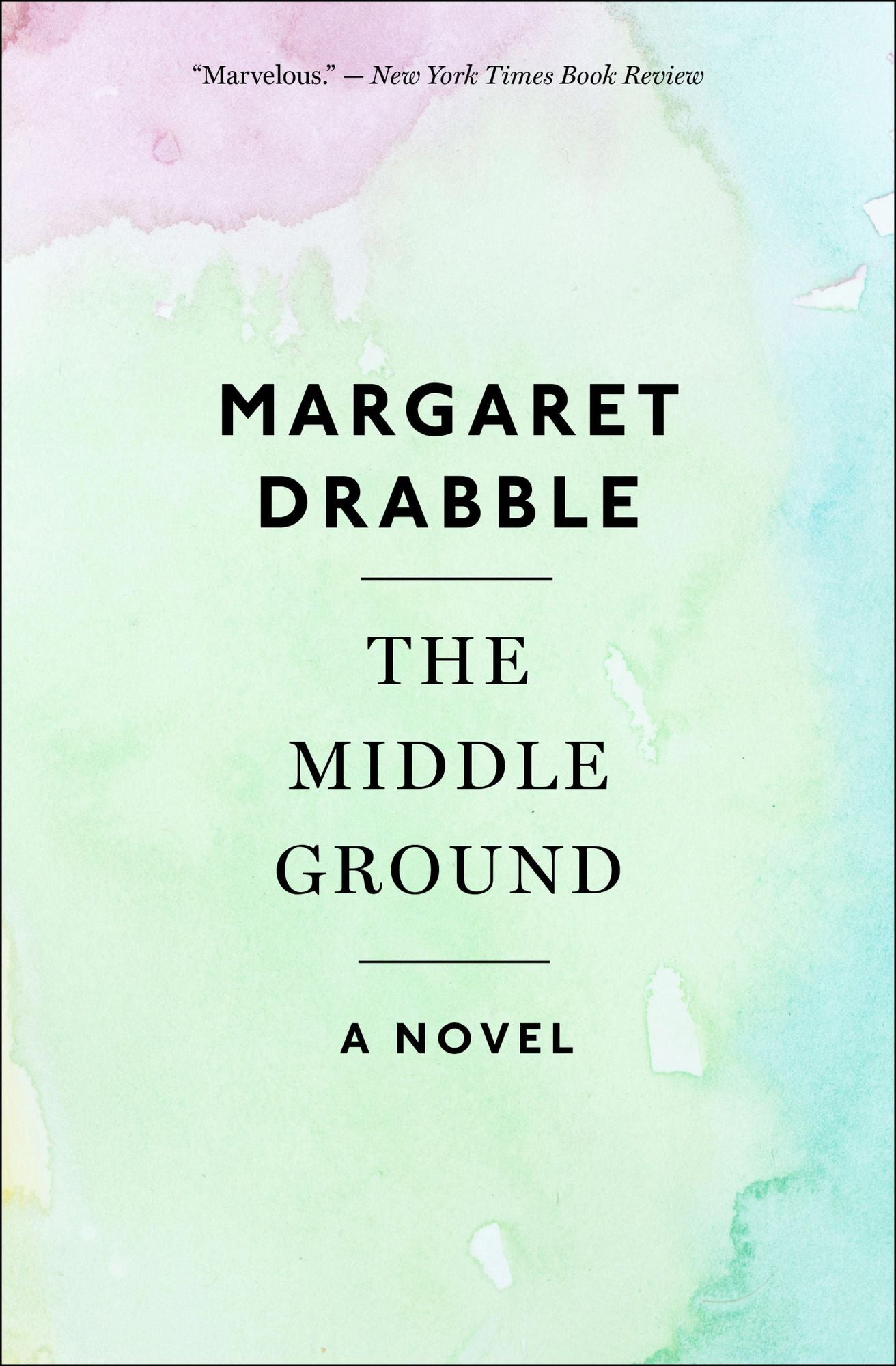 The Middle Ground: A Novel