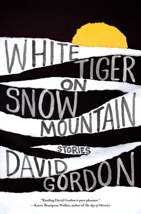 White Tiger on Snow Mountain