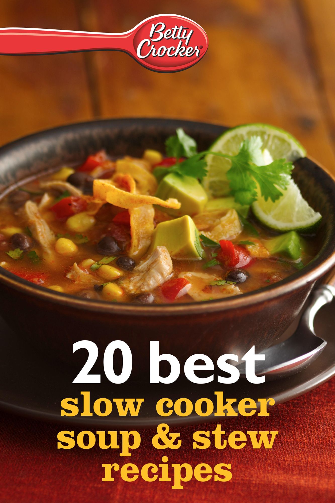 Betty Crocker 20 Best Slow Cooker Soup and Stew Recipes