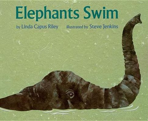 Elephants Swim
