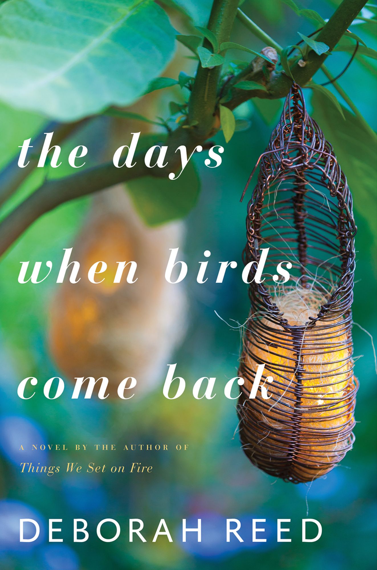 The Days When Birds Come Back: A Novel