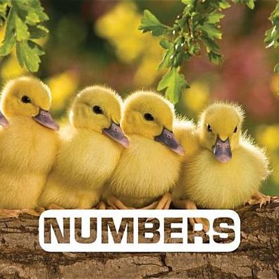 Numbers