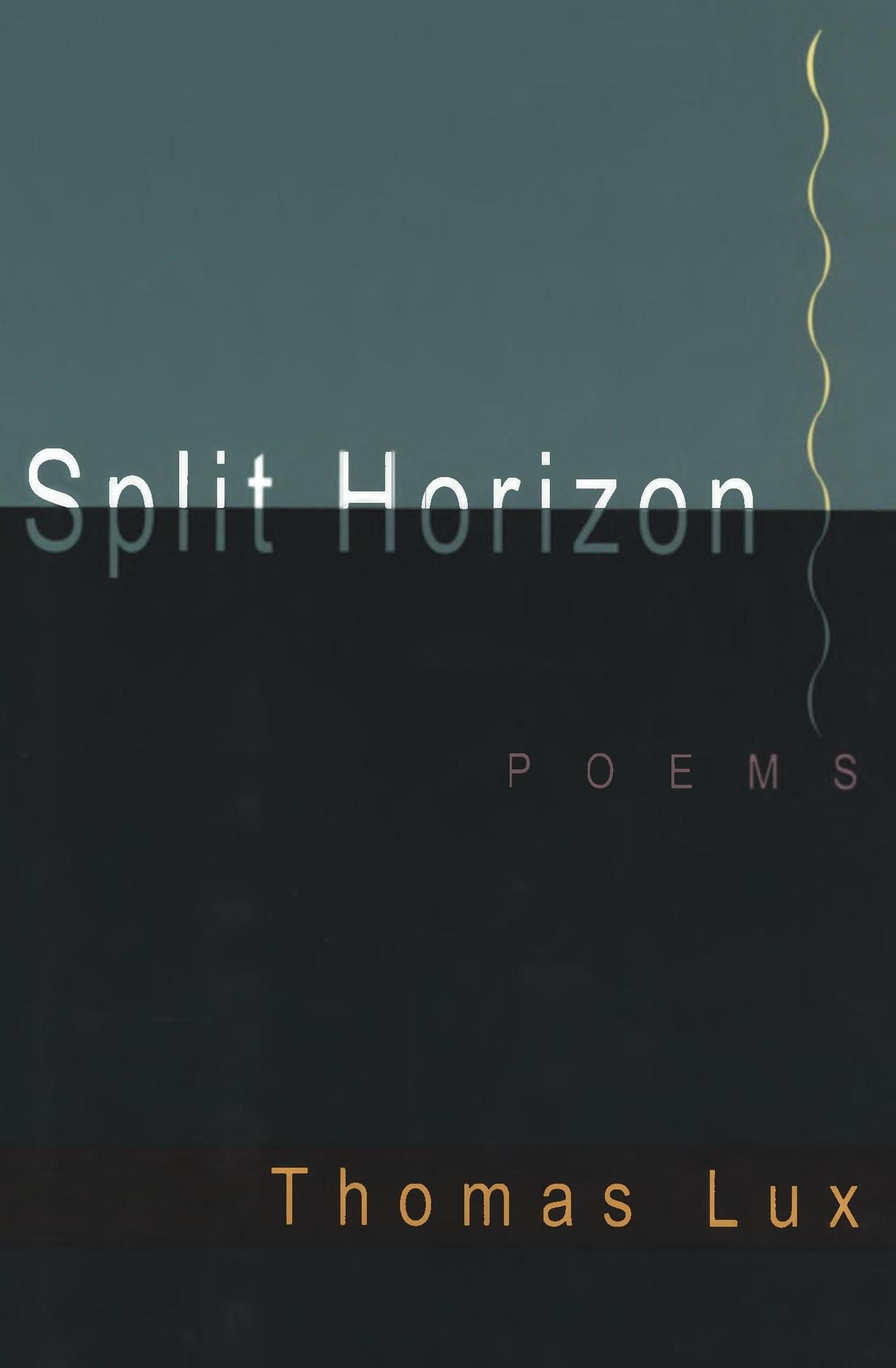 Split Horizon