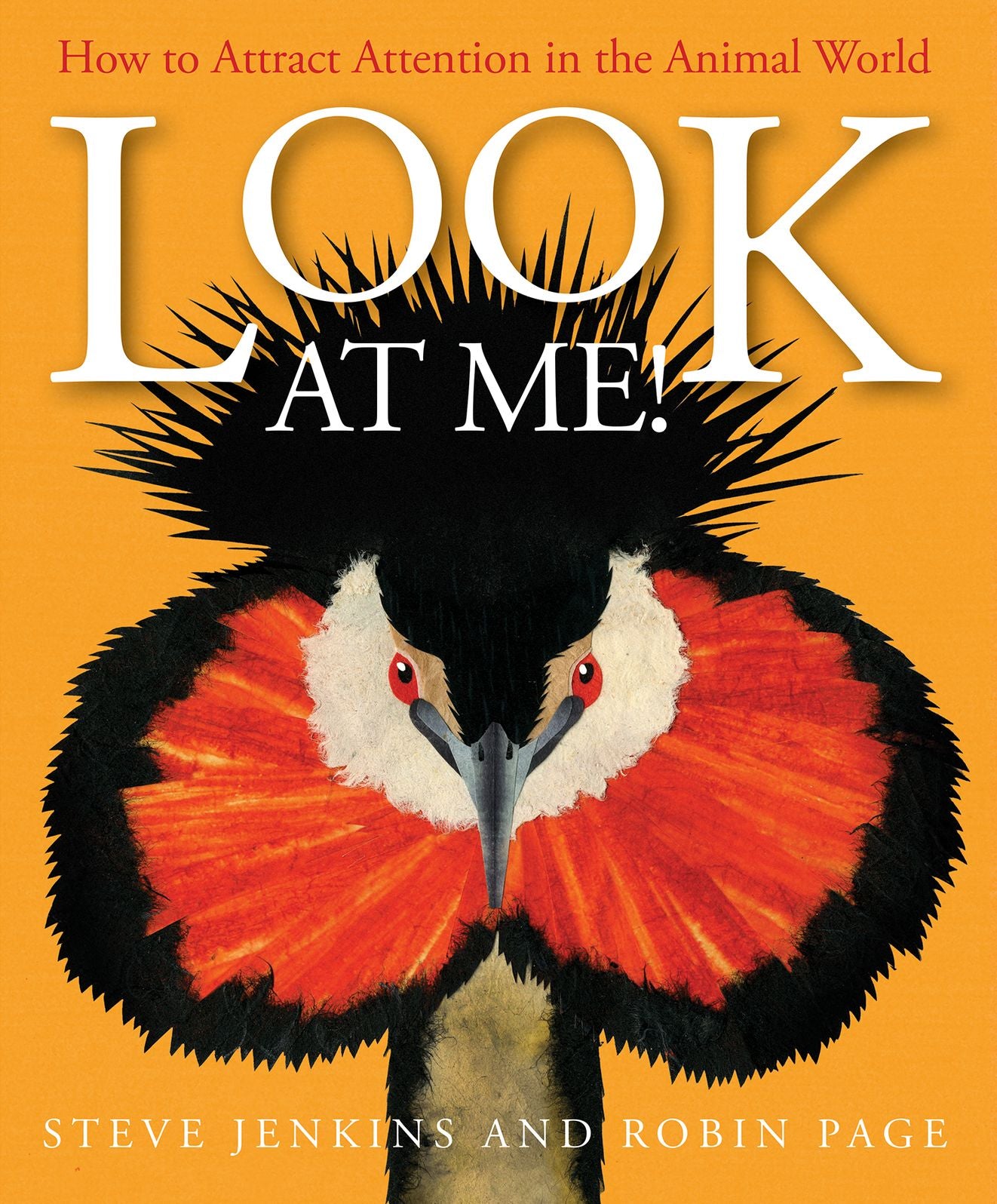 Look at Me!: How to Attract Attention in the Animal World