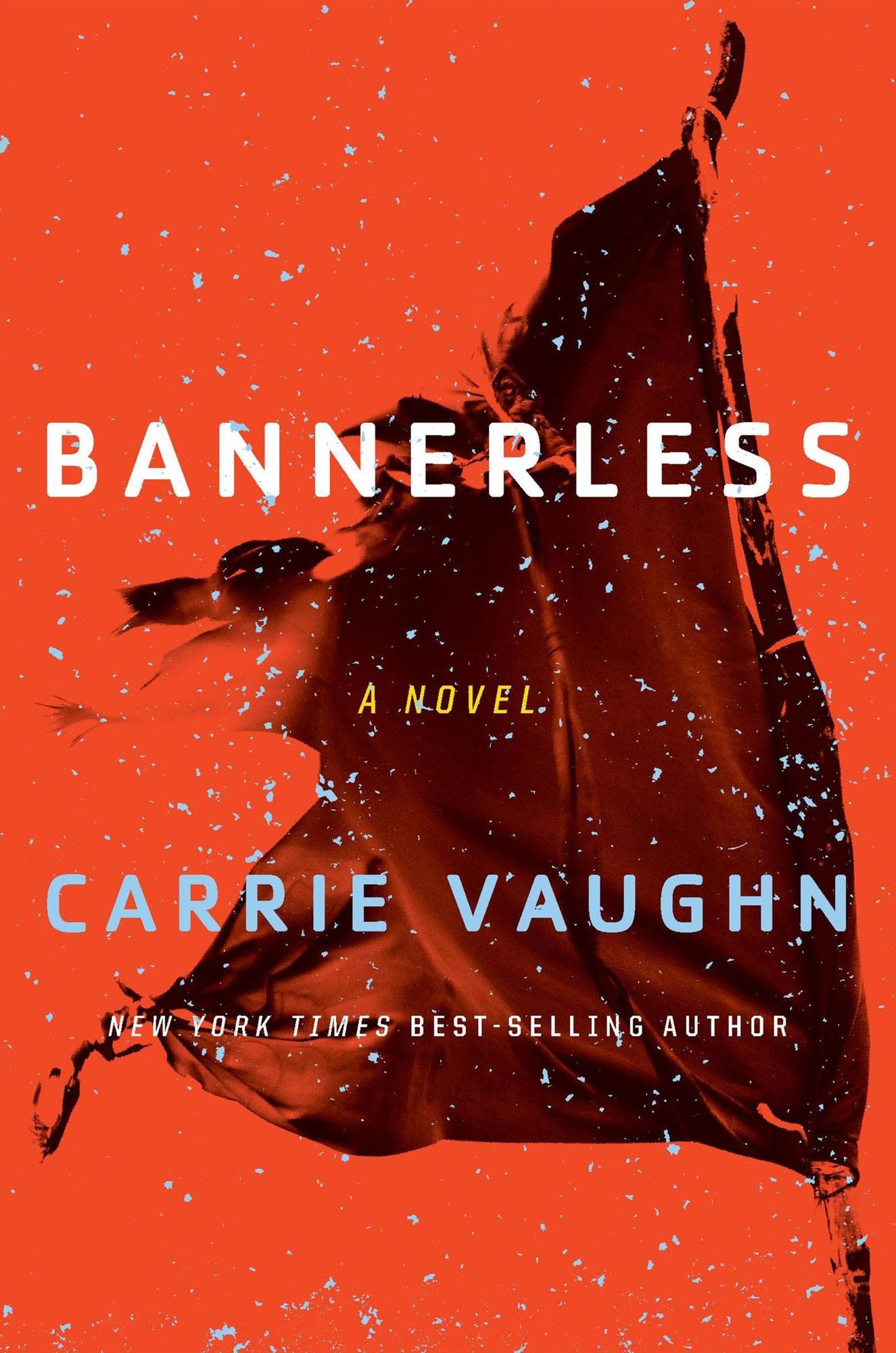 Bannerless: A Novel