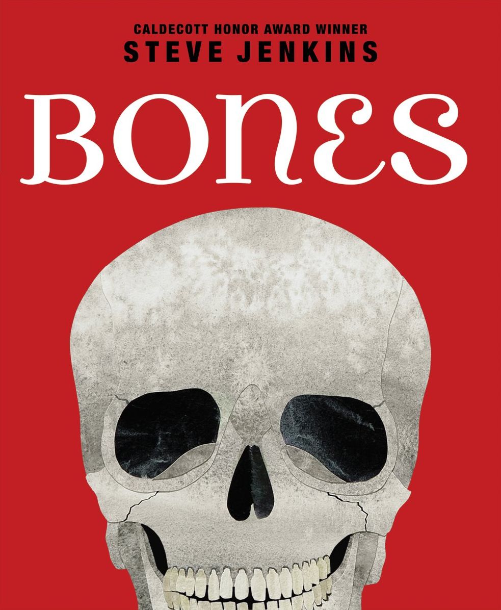 Bones: Skeletons & How They Work