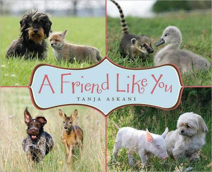 A Friend Like You