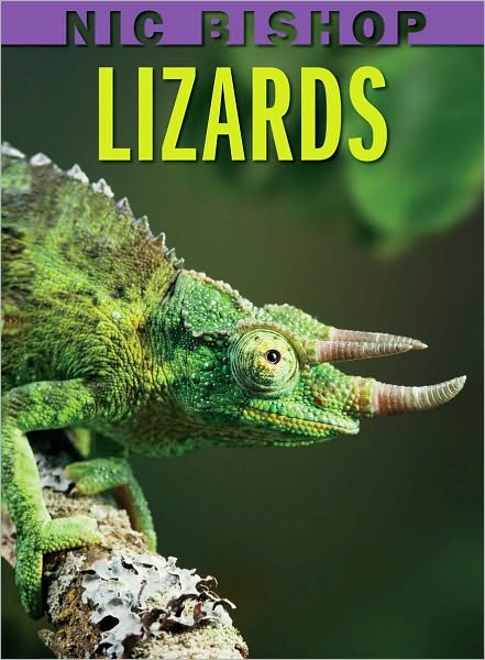 Lizards (Scholastic Reader Series: Level 2)