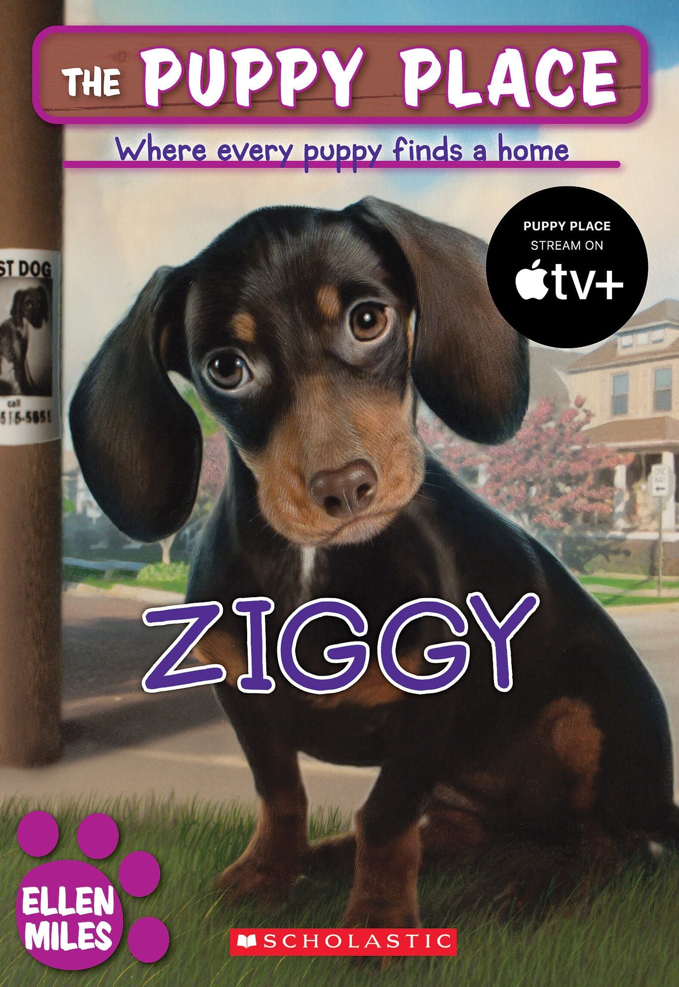Ziggy (The Puppy Place Series #21)