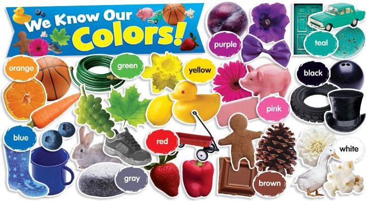 Teachers Friend TF-8090 Colors In Photos Mini Bb Set