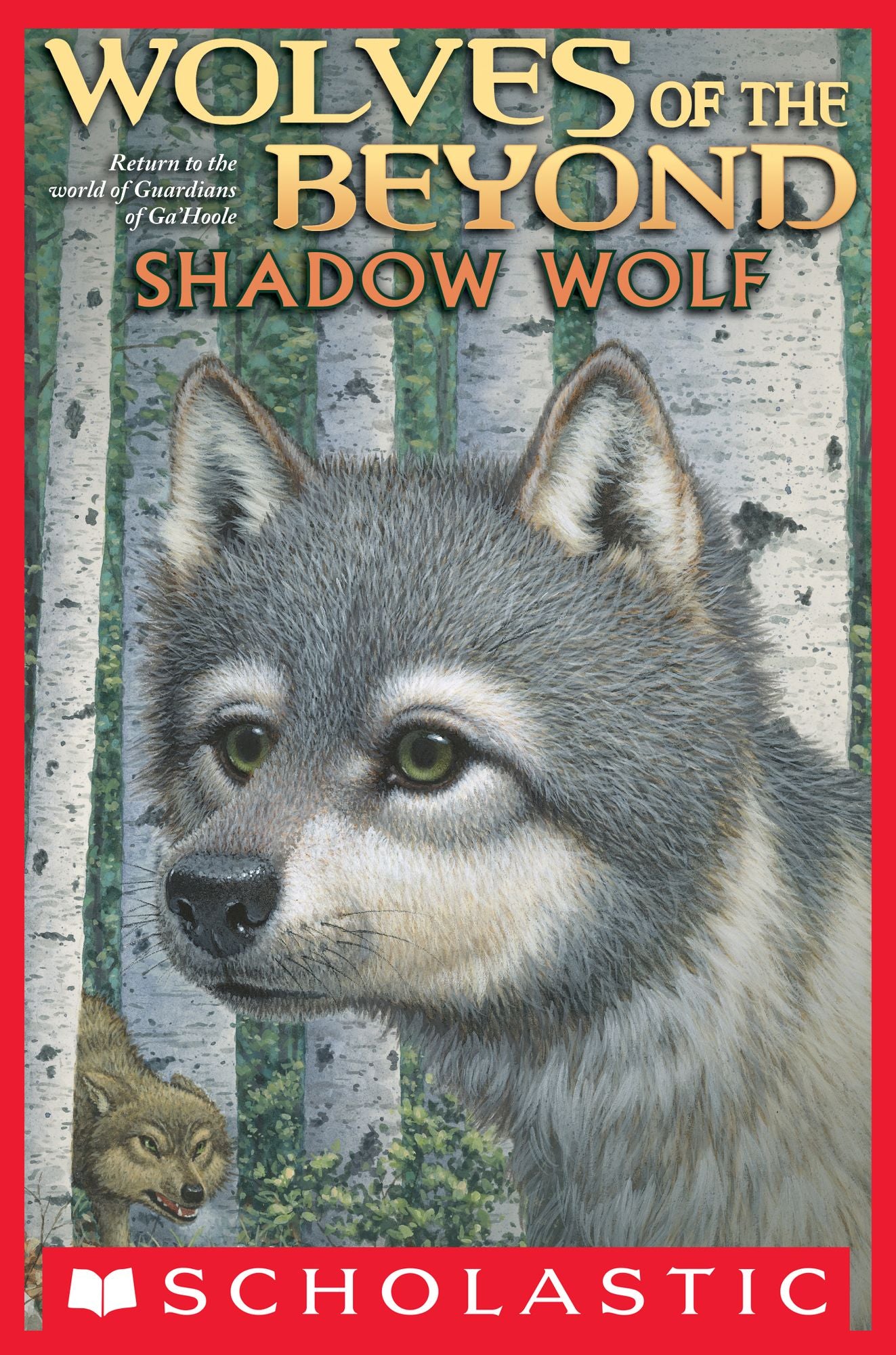Shadow Wolf (Wolves of the Beyond Series #2)