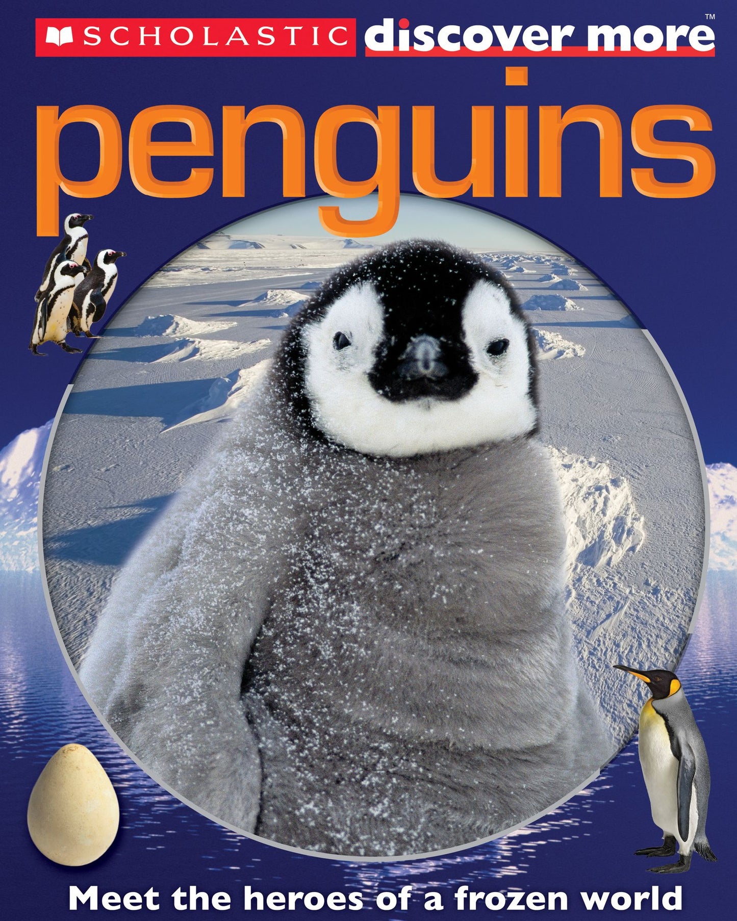 Penguins (Scholastic Discover More Series)