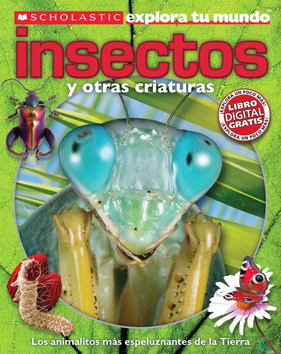 Scholastic explora tu mundo: Insectos: (Spanish language edition of Scholastic Discover More: Bugs)