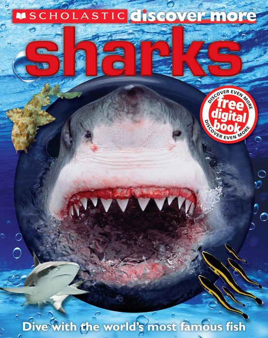 Sharks (Scholastic Discover More Series)