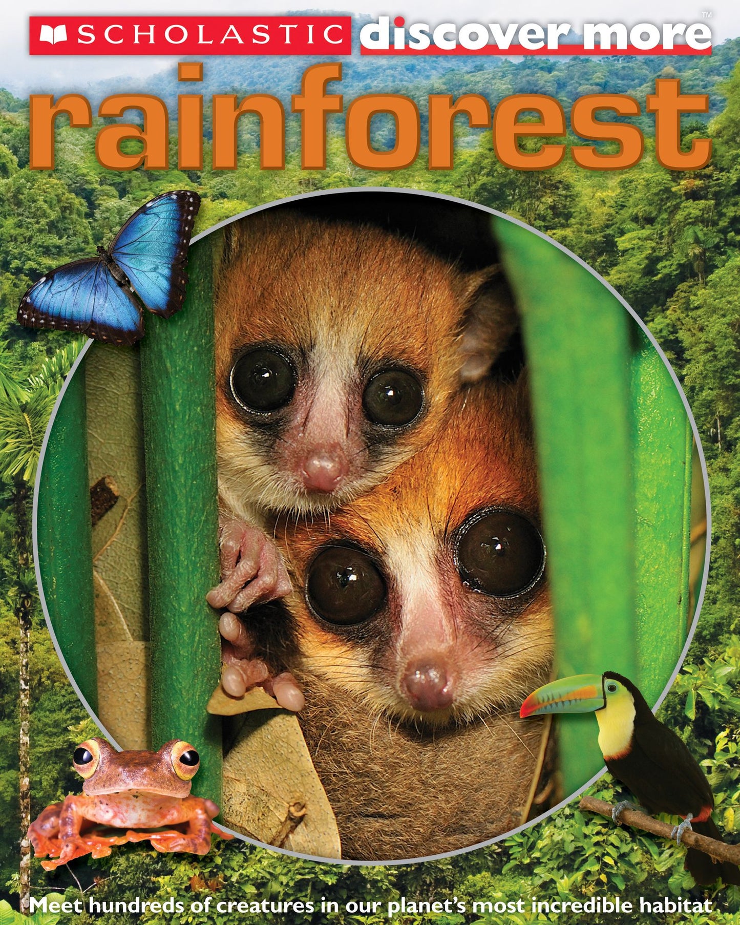 Rainforests (Scholastic Discover More Series)