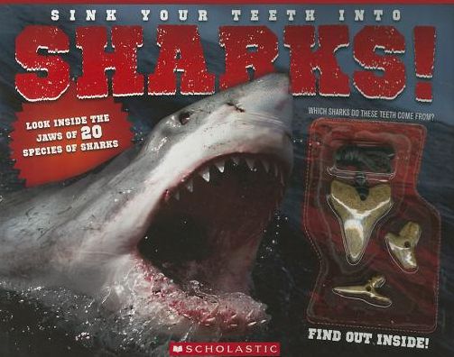 Sink Your Teeth into Sharks!