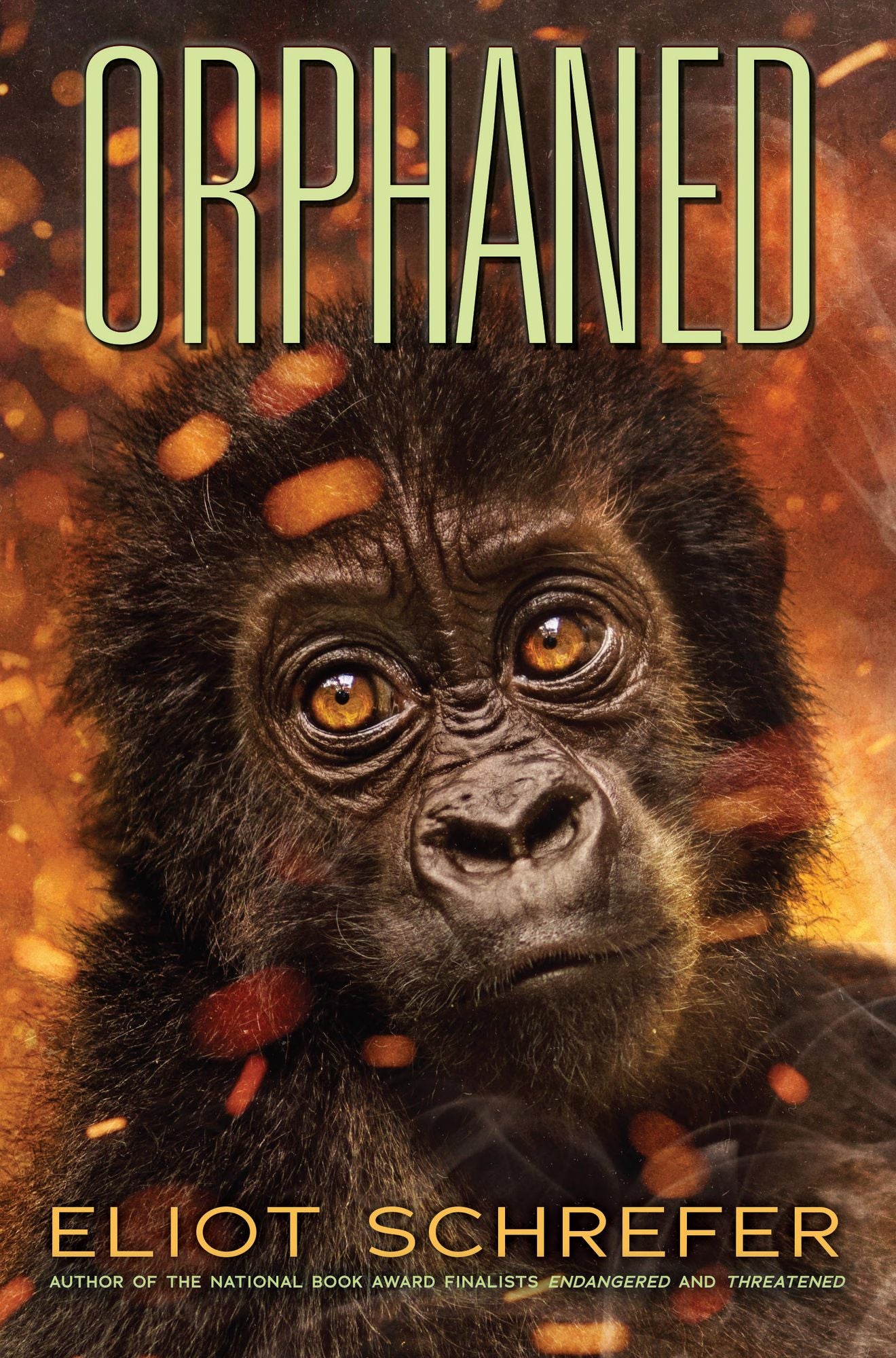 Orphaned (Ape Quartet, Book 4)