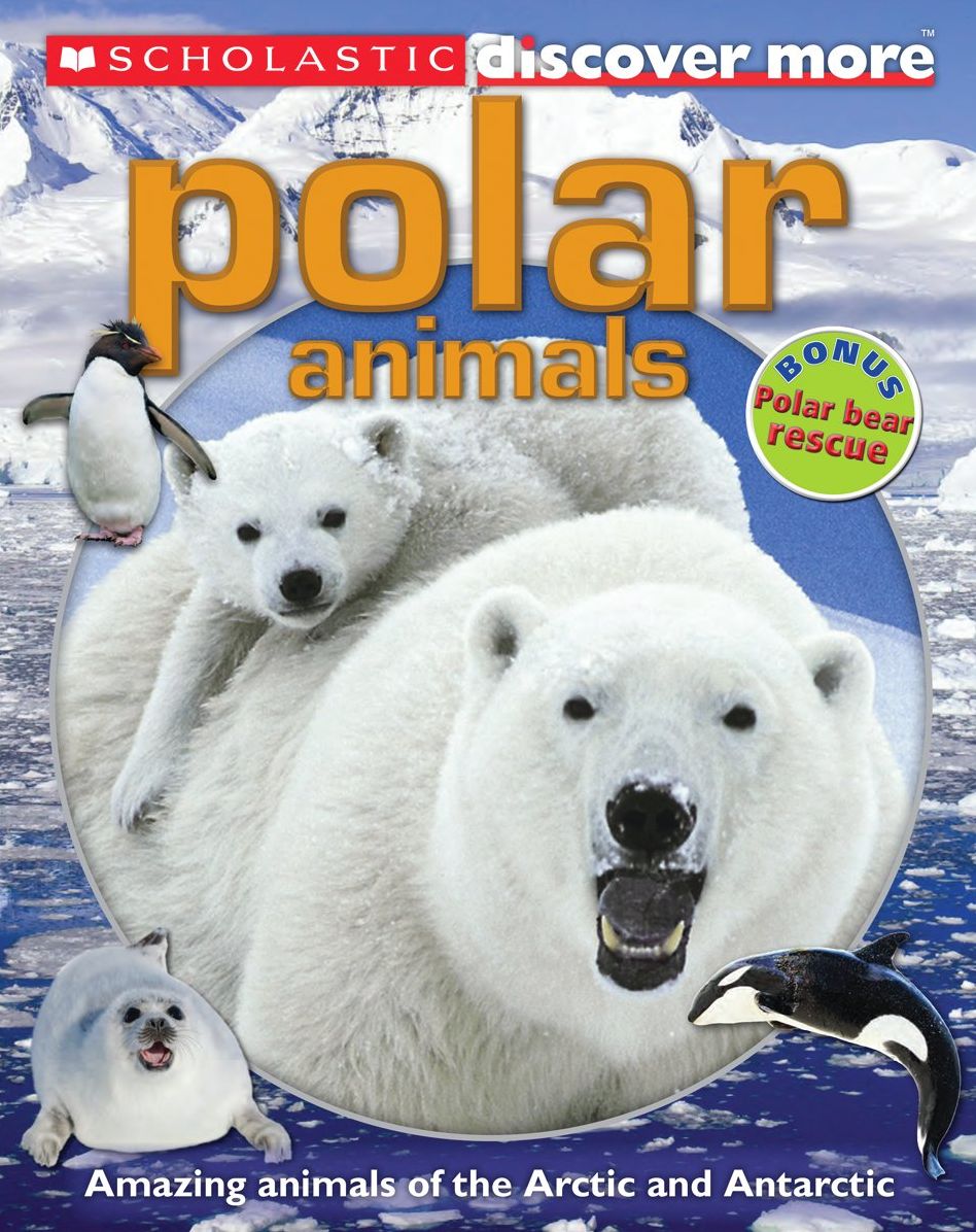 Polar Animals (Scholastic Discover More Series)