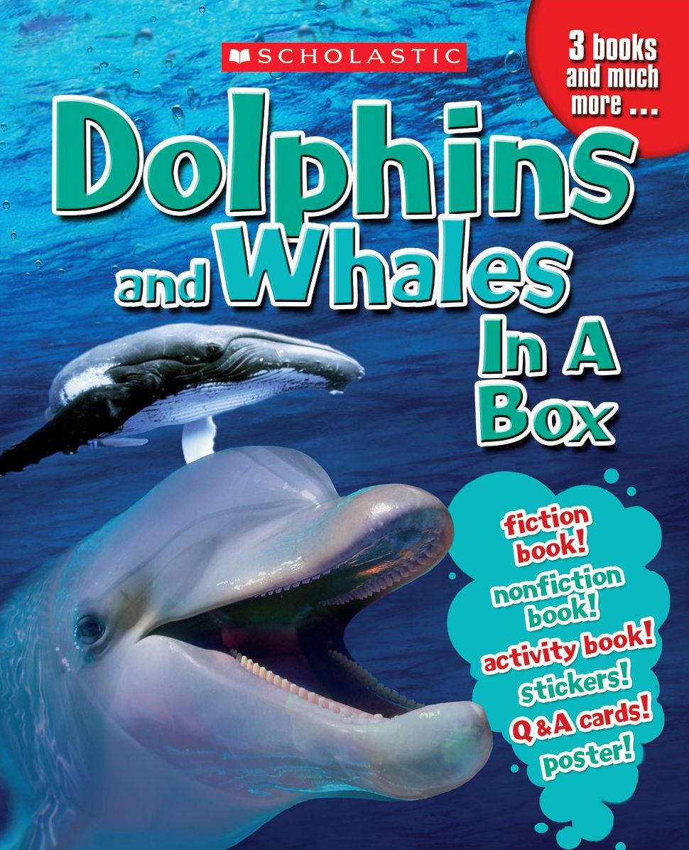 Dolphins & Whales in a Box