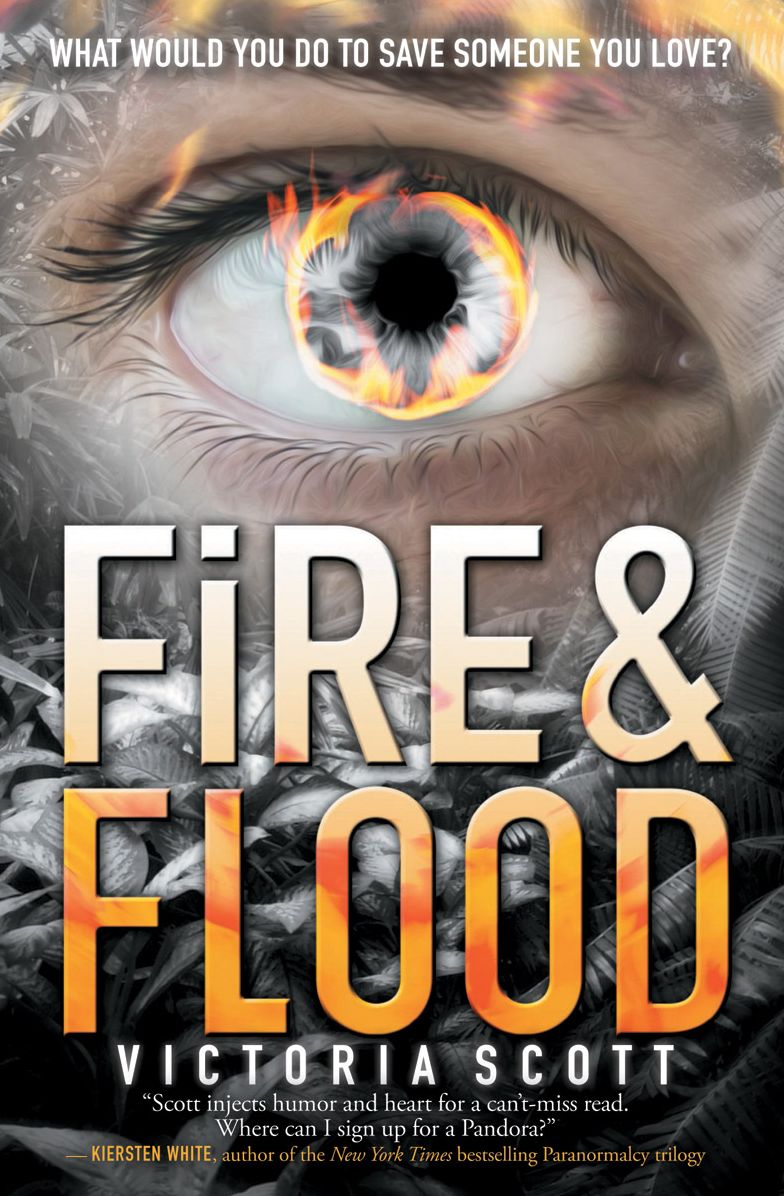 Fire & Flood (Fire & Flood Series #1)