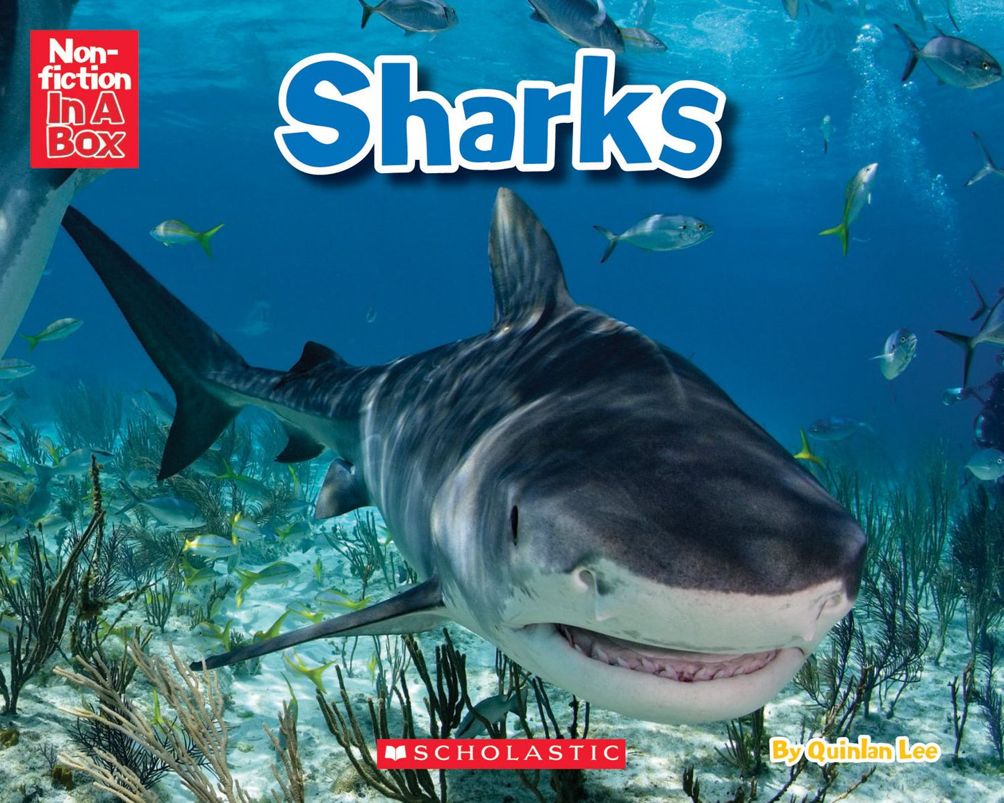 Sharks in a Box