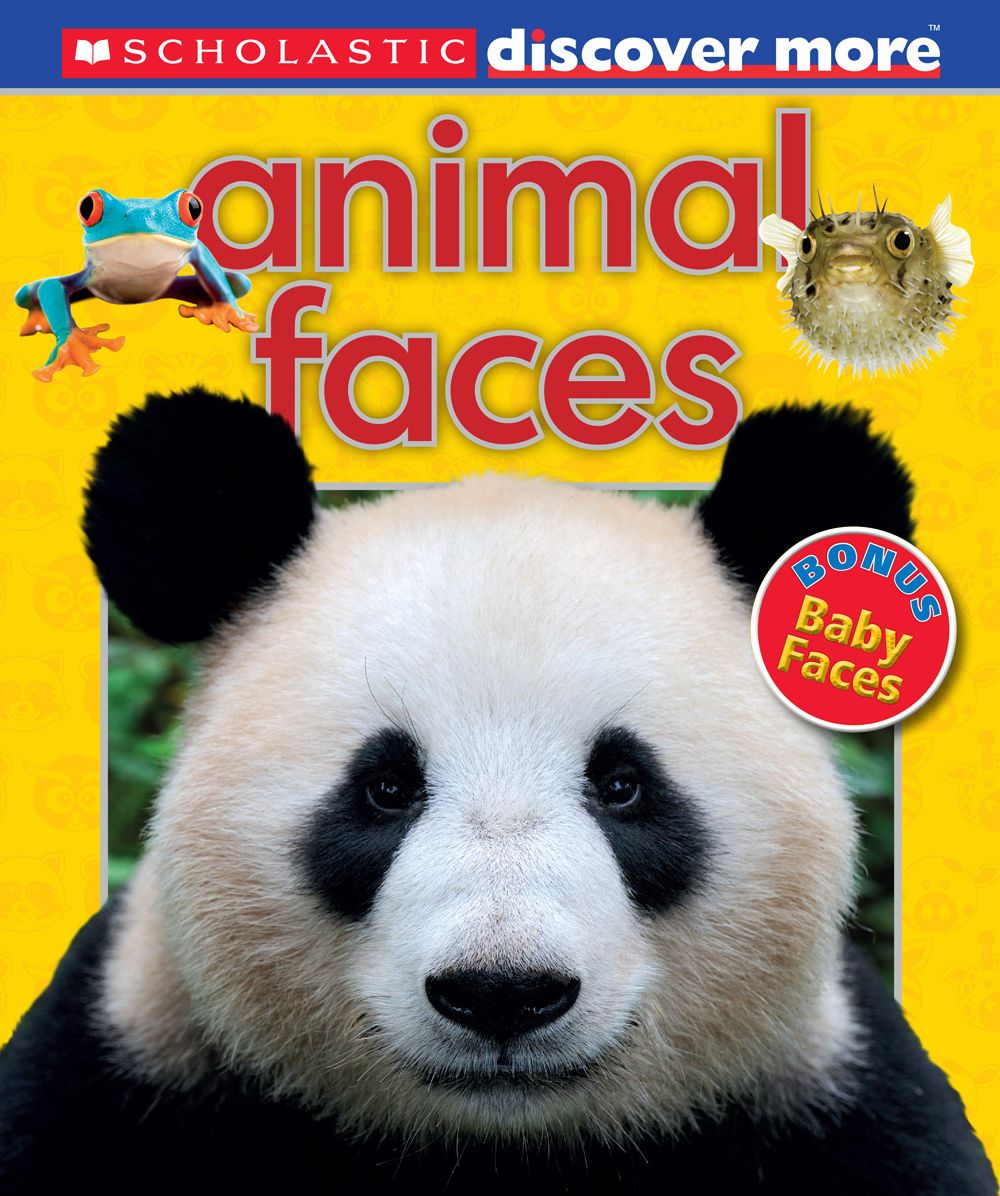 Scholastic Discover More: Animal Faces