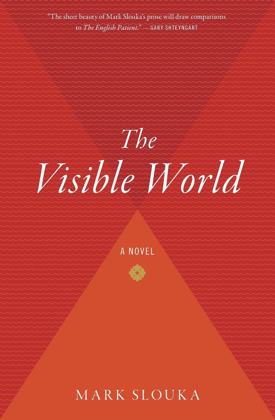The Visible World: A Novel