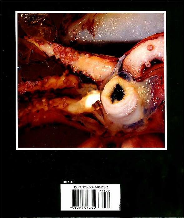 Here There Be Monsters: The Legendary Kraken and the Giant Squid