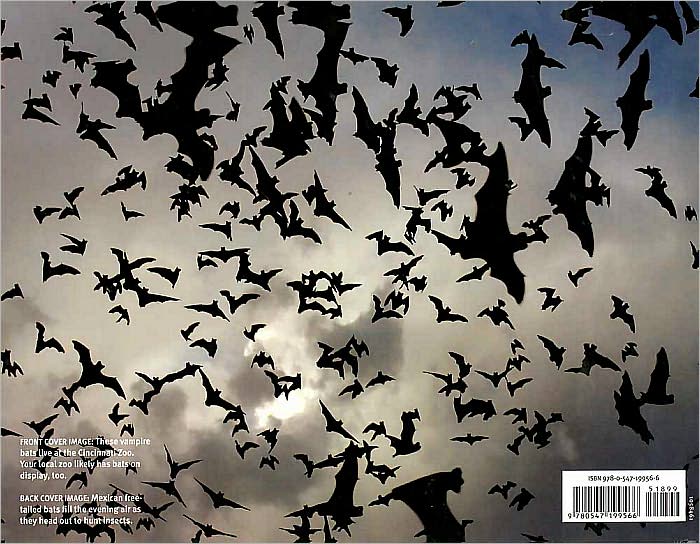 The Bat Scientists